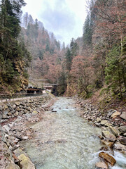 The Partnach River flows serenely through the forest near the entrance to Partnachklamm Gorge, surrounded by lush trees and alpine beauty in Garmisch-Partenkirchen, Germany.