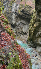 A walkway winds through Partnach Gorge alongside a clear blue, rushing river, with vibrant red leaves scattered along the ground, creating a stunning autumn alpine scene.