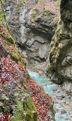 A walkway winds through Partnach Gorge alongside a clear blue, rushing river, with vibrant red leaves scattered along the ground, creating a stunning autumn alpine scene.