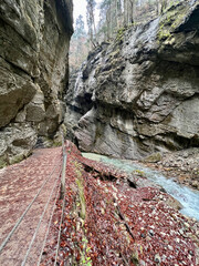 A narrow pathway winds through Partnach Gorge beside a clear blue, rushing stream, with red leaves scattered on the ground, creating a dramatic autumn landscape in Bavaria.
