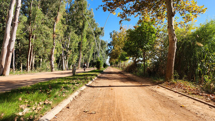 Yaşar Kemal Walking and Running Track, which extends along the eastern shore of the Seyhan River, in the autumn
