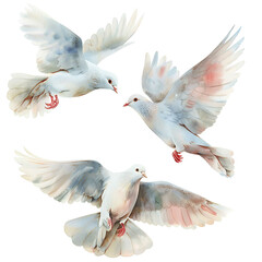 Fototapeta premium Flying white dove birds watercolor illustration. Symbol of peace. white Pigeon isolated on white background. Decorative design elements