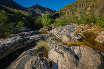 A beautiful stream winds through a rugged desert landscape, surrounded by rocky formations and lush greenery with Saguaro Cactus on hills under a clear blue sky.