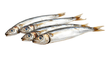 Anchovy on transparent background, isolated on white background