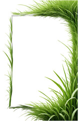 green grass border png transparent background