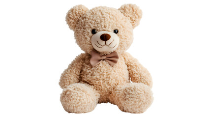 Obraz premium Teddy bear toy, isolated on white background