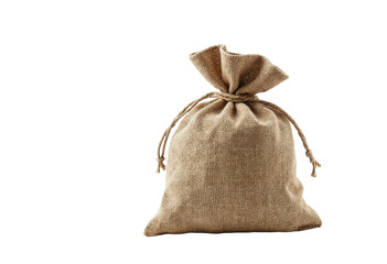 bag with money