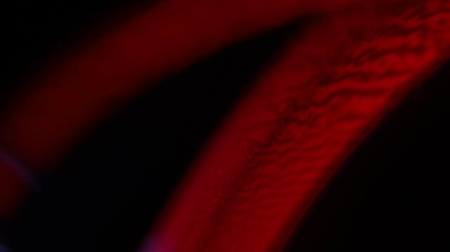 Red fantastic lines, red liquid surface on the dark background, colourful abstract, red shape