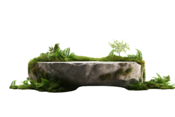 Grey rock podium placed in a vibrant green forest, surrounded by nature and perfect for product display isolated on white background