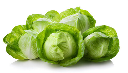 Group of green iceberg lettuces shown on a white background.