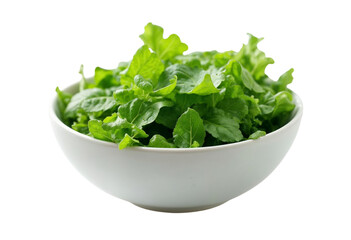 bowl of green salad