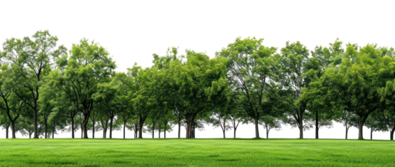 PNG Green park green landscape outdoors.