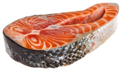 PNG Salmon fresh raw fish reptile seafood.