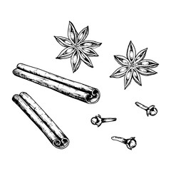 Vector ink drawn clipart of cinnamon sticks, star anise and cloves. Perfect for Christmas holiday prints, spice design, hot winter drinks: punch, mulled wine, tea. Good for menu, pastry shop packaging