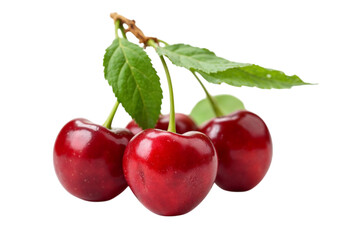 cherries on white background