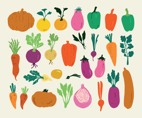 Fototapeta premium Root Vegetable Food Healthy Harvest Gardening Vector Illustration Set