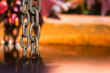 Rain chain  in a water tank in an autumn garden, close-up shot