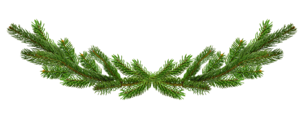 Long spruce garland. Large Christmas garland of green spruce branches. Panorama. Isolated On transparent, png