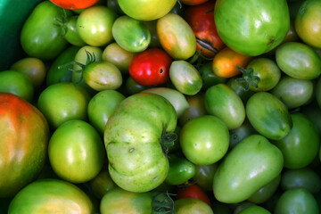 Fresh Green Tomatoes