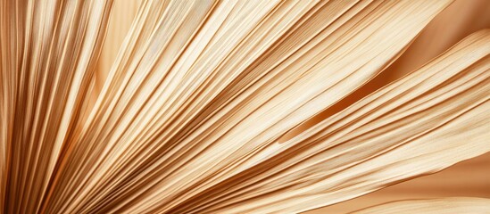 Close up of dry palm leaf texture Background of plants Poster in soft sandy pastel colors. with copy space image. Place for adding text or design