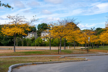 View of Park with Colorfull yellow Leafs with Mostly Cloudy skies