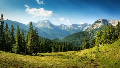 Obraz premium landscape in the summer