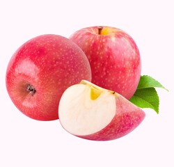 Purple Watercolor Grapes Fruit Logo - 1