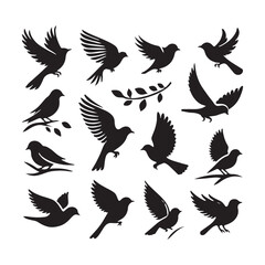 Fototapeta premium Collection of Bird silhouette vector illustration