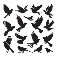 Obraz premium Collection of Bird silhouette vector illustration