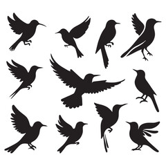 Fototapeta premium Collection of Bird silhouette vector illustration