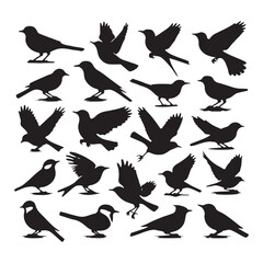Obraz premium Collection of Bird silhouette vector illustration