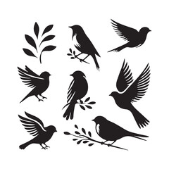 Obraz premium Collection of Bird silhouette vector illustration