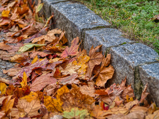 Die Blätter fallen im Herbst 