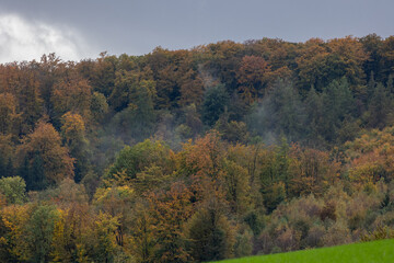 Fototapeta premium Autumnal forest landscape with fog