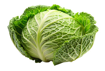 Obraz premium cabbage isolated on white