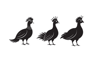 Fototapeta premium Victoria crowned pigeon silhouette vector illustration, Victoria crowned pigeon silhouette