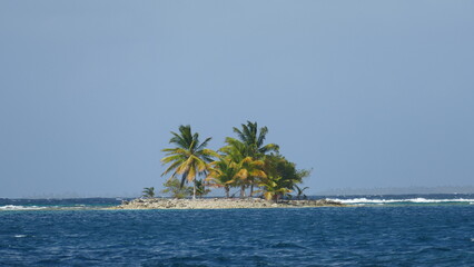 palm trees on an island