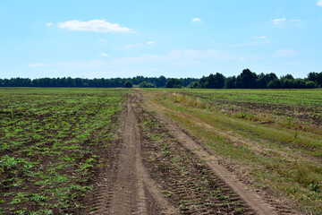 a plowed field with a tire track and a tractor in the background
