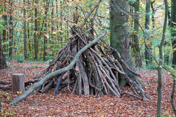 A small shelter made of intertwined branches stands in a forest surrounded by fallen autumn leaves