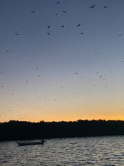 Sunset on a boat with flying bats, Komodo National Park, Indonesia
