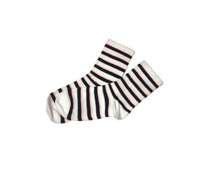 Colorful sock isolated on white background. Fashion clothing concept