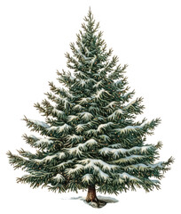 Fototapeta premium PNG Christmas tree illustration snow-covered evergreen.