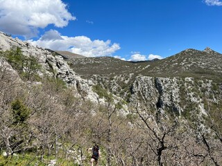 Naklejka premium Mala Paklenica Canyon, Seline (Paklenica National Park, Croatia) - Die Schlucht von Mala Paklenica, Seline (Nationalpark, Kroatien) - Kanjon Male Paklenice (Nacionalni park Paklenica, Hrvatska)