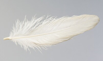 Obraz premium A white feather is shown in the image, with its tip pointing upwards
