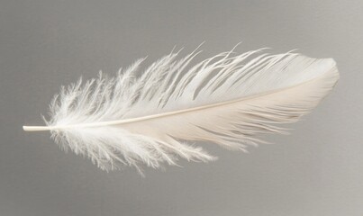 Obraz premium A white feather is shown in the image, with its tip pointing upwards