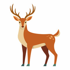 Obraz premium deer cartoon isolated on white