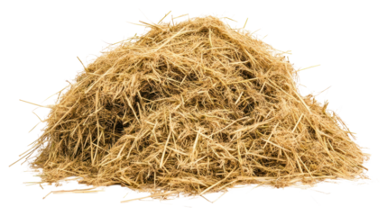 PNG Pile of hay background straw white.