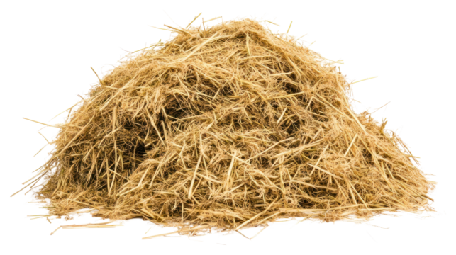 PNG Pile of hay background straw white.