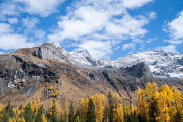 Obraz premium Four Girls Mountain in Aba prefecture Chengdu city Sichuan province, China.Siguniang mountain or Four sister mountain with snow cap on top and colourful autumn in Sichuan, China 