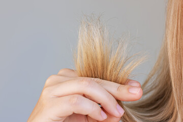 Close-up of the dry split ends in the young blonde woman's hand isolated on a grey background. Hair...